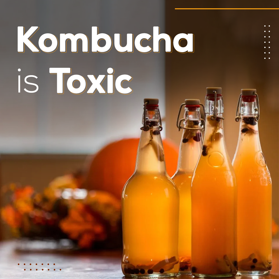 5 Side Effects of Kombucha 5th Side Effect is Highly Toxic 